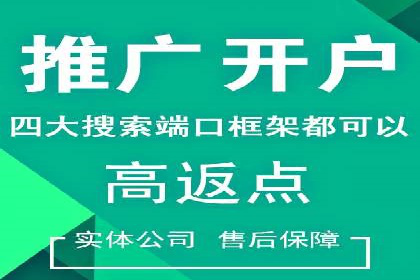 低成本高回报：百度竞价代理成功案例分析